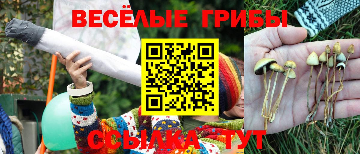 Галлюциногенные грибы Cubensis Южно-Сахалинск