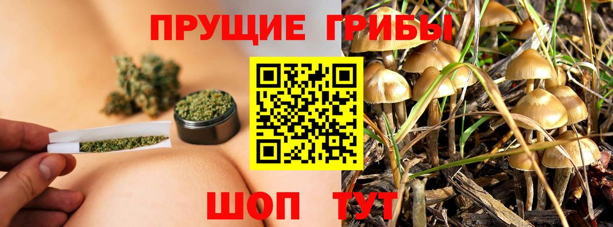 Галлюциногенные грибы мицелий  Вход с VPN  Южно-Сахалинск 